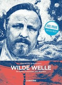 Wilde Welle - Stefan Kruecken - ebook