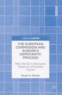 The European Commission and Europe's Democratic Process - Stuart A. Brown - ebook