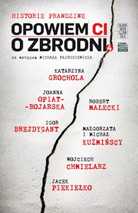 Opowiem CI o zbrodni 4 - Katarzyna Grochola, Wojciech Chmielarz, Joanna Opiat-Bojarska, Robert Małecki, Igor Brejdygant, Małgorzata i Michał Kuźmińscy, Jacek Piekiełko - ebook