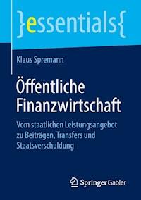 Öffentliche Finanzwirtschaft - Klaus Spremann - ebook