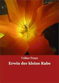 Erwin der kleine Rabe - Volker Franz - ebook