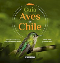 Guía aves de Chile - Amalia Torres - ebook