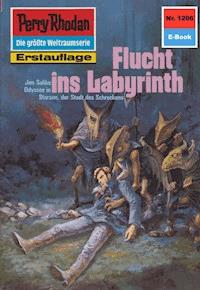 Perry Rhodan 1206: Flucht ins Labyrinth - Clark Darlton - ebook