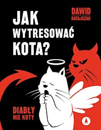 Jak wytresować kota? Diabły nie koty - Dawid Ratajczak - książka