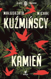 Kamień - Kuźmińska Małgorzata, Kuźmiński Michał - książka
