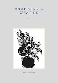 Anweisungen zum Sinn - Walter Machtemes - ebook