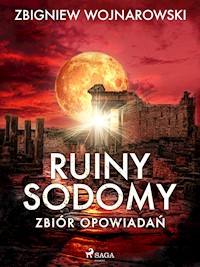 Ruiny Sodomy - zbiór opowiadań - Wojnarowski Zbigniew - ebook
