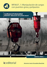 Manipulación de cargas con puentes-grúa y polipastos. IEXD0108 - Antonio Jesús González Bautista - ebook