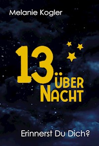 13 über Nacht - Kogler Melanie - ebook