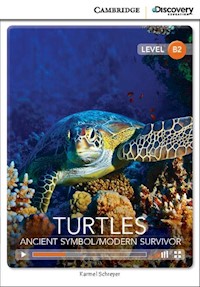 Turtles: Ancient Symbol/Modern Survivor - Schreyer Karmel - książka