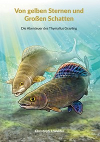 Von gelben Sternen und Großen Schatten - Christoph J. WALDER - ebook