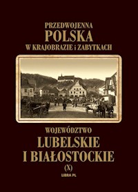 Województwo lubelskie i białostockie Tom 10 - Woydyno Władysław - książka