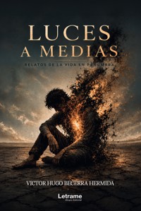 Luces a medias - Víctor Hugo Becerra Hermida - ebook