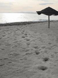 Das Versehen - Johannes Storks - ebook