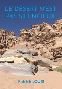 Le désert n'est pas silencieux - Patrick Louis - ebook