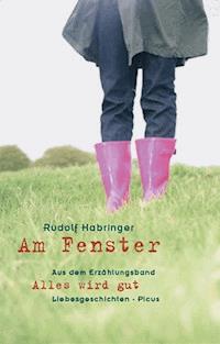 Am Fenster - Rudolf Habringer - ebook
