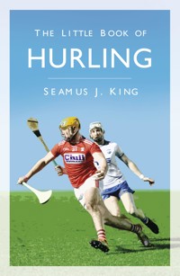 The Little Book of Hurling - Seamus J. King - ebook