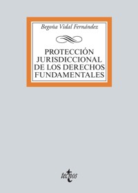 Protección jurisdiccional de los Derechos Fundamentales - Begoña Vidal Fernández - ebook