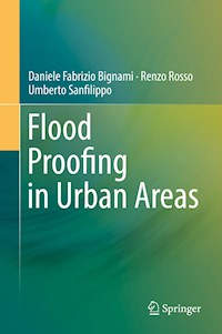 Flood Proofing in Urban Areas - Daniele Fabrizio Bignami - ebook