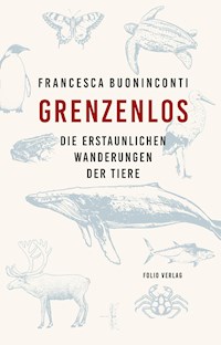 Grenzenlos - Buoninconti Francesca - ebook