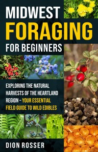 Midwest Foraging for Beginners - Dion Rosser - ebook