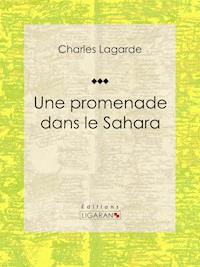 Une promenade dans le Sahara - Ligaran - ebook