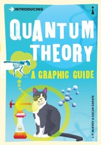 Introducing Quantum Theory a graphic guide - McEvoy J.P., Zarate Oscar - książka
