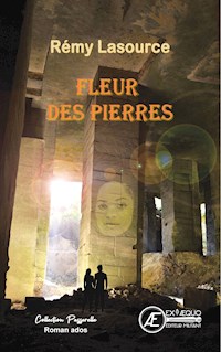 Fleur des pierres - Rémy Lasource - ebook