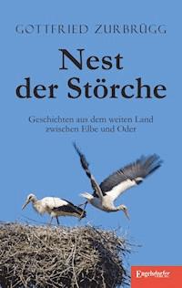 Nest der Störche - Gottfried Zurbrügg - ebook
