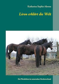 Liron erklärt die Welt - Katharina Sophie Ahrens - ebook