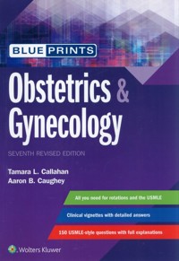 Blueprints Obstetrics & Gynecology - Caughey Aaron B., Callahan Tamara L. - książka