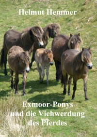 Exmoor-Ponys und die Viehwerdung des Pferdes - Helmut Hemmer - ebook