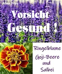 Vorsicht Gesund!! - Alina Frey - ebook