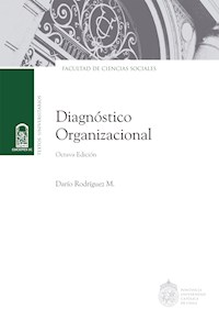 Diagnóstico organizacional - Darío Rodríguez Mansilla - ebook