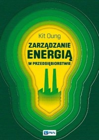 Zarządzanie energią w przedsiębiorstwie - Kit Oung - książka