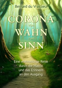 Corona - vom Wahn zum Sinn - Bernard de Vraicoeur - ebook