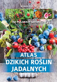 Atlas dzikich roślin jadalnych - Monika Fijołek - książka