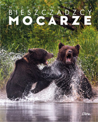 Bieszczadzcy mocarze - Matysiak Mateusz - książka