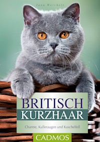 Britisch Kurzhaar - Jana Weichelt - ebook