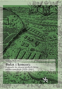 Bułat i koncerz - Andrzej Witkowicz - książka