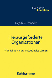 Herausgeforderte Organisationen - Katja Lass-Lennecke - ebook