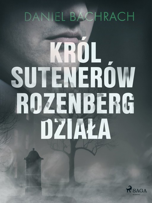 Okładka książki Król sutenerów Rozenberg działa