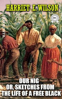 Our Nig; Or, Sketches from the Life of a Free Black. Illustrated - Harriet E. Wilson - ebook