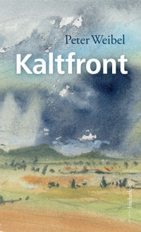 Kaltfront - Weibel Peter - ebook