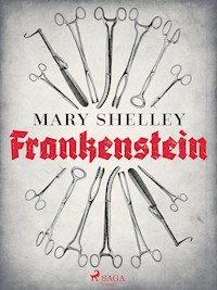 Frankenstein - Mary Shelley - ebook
