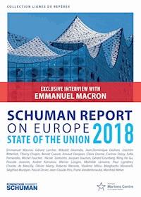 Schuman report on Europe - Thierry Chopin - ebook