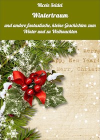 Wintertraum - Nicole Seidel - ebook
