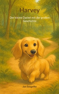 Harvey - Jan Seegelke - ebook