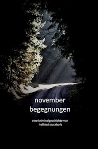 Novemberbegegnungen - Helfried Stockhofe - ebook