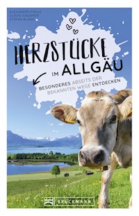 Herzstücke Allgäu - Alexander Pohle - ebook